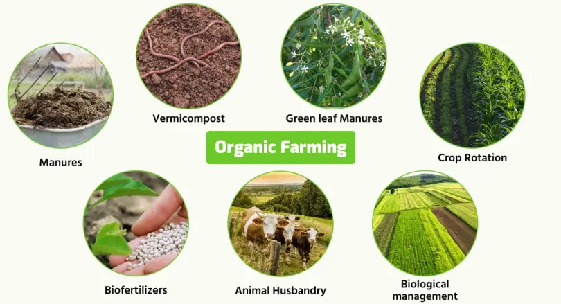 Organic farming