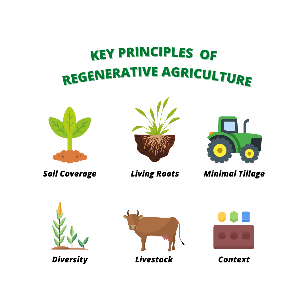 Key Principles of Sustainable Farming